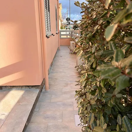 Guest house Taylor House 3*
